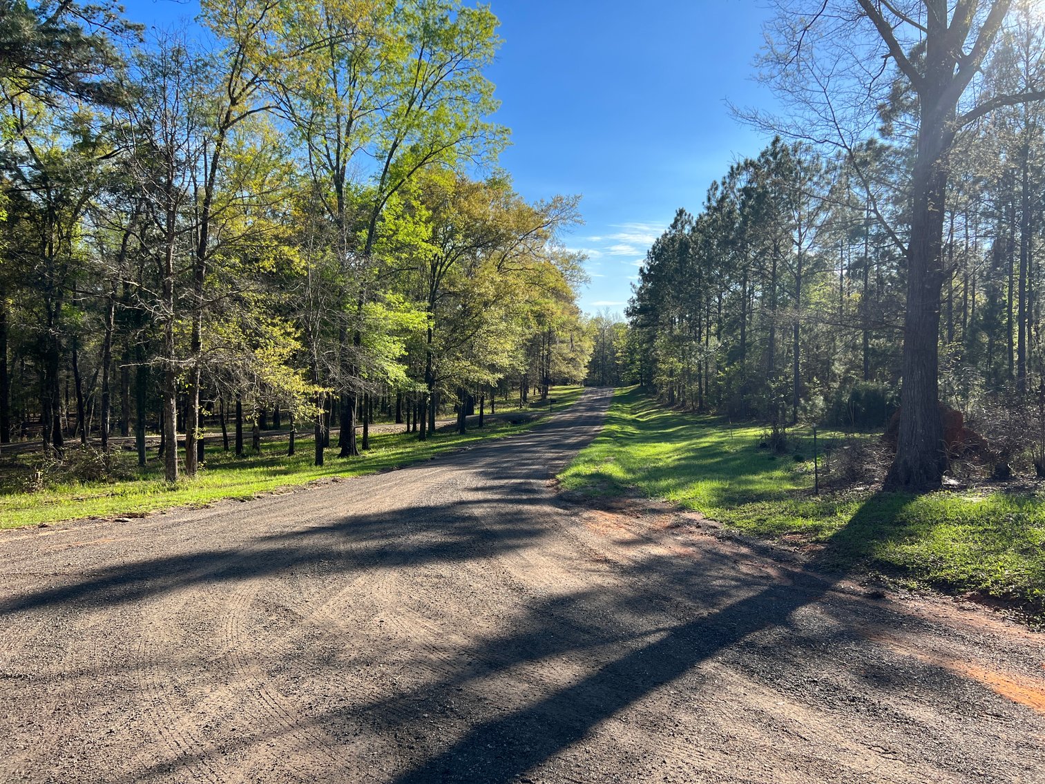 Image for 11.8 +/- Acres Covey Cove at Goose Hollow