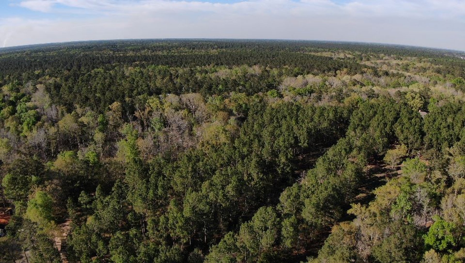 Image for 11.8 +/- Acres Covey Cove at Goose Hollow