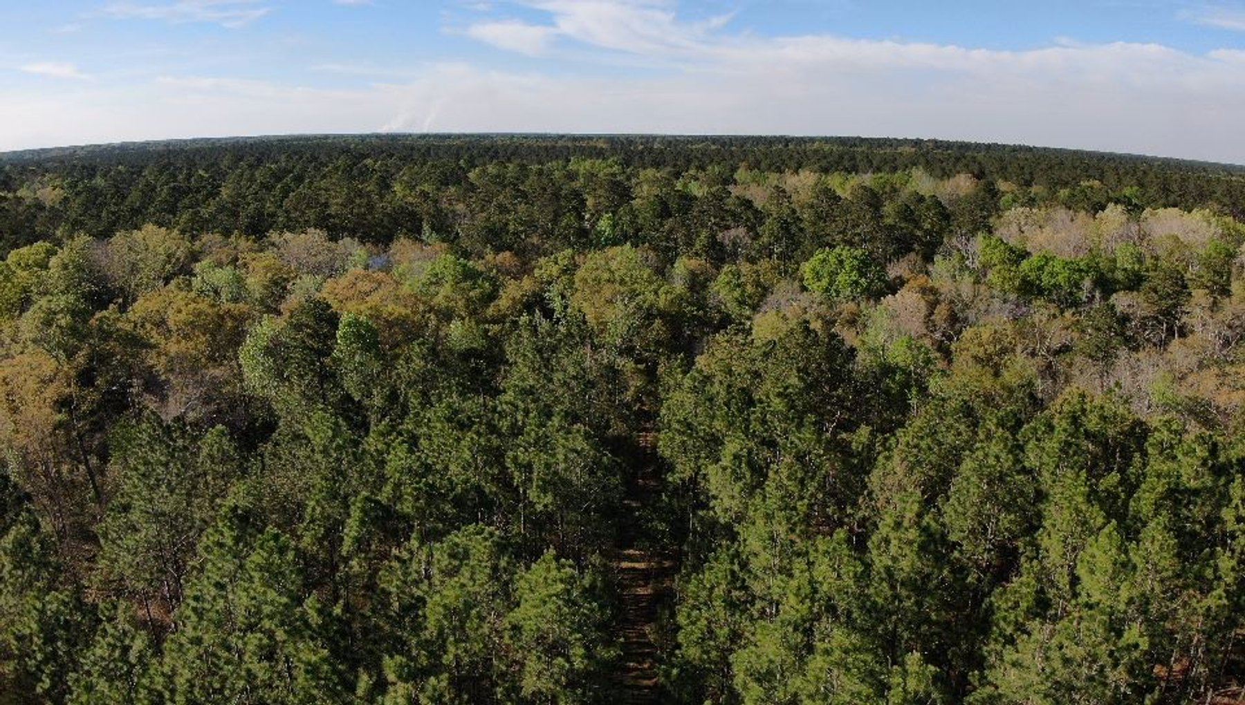 Image for 11.8 +/- Acres Covey Cove at Goose Hollow