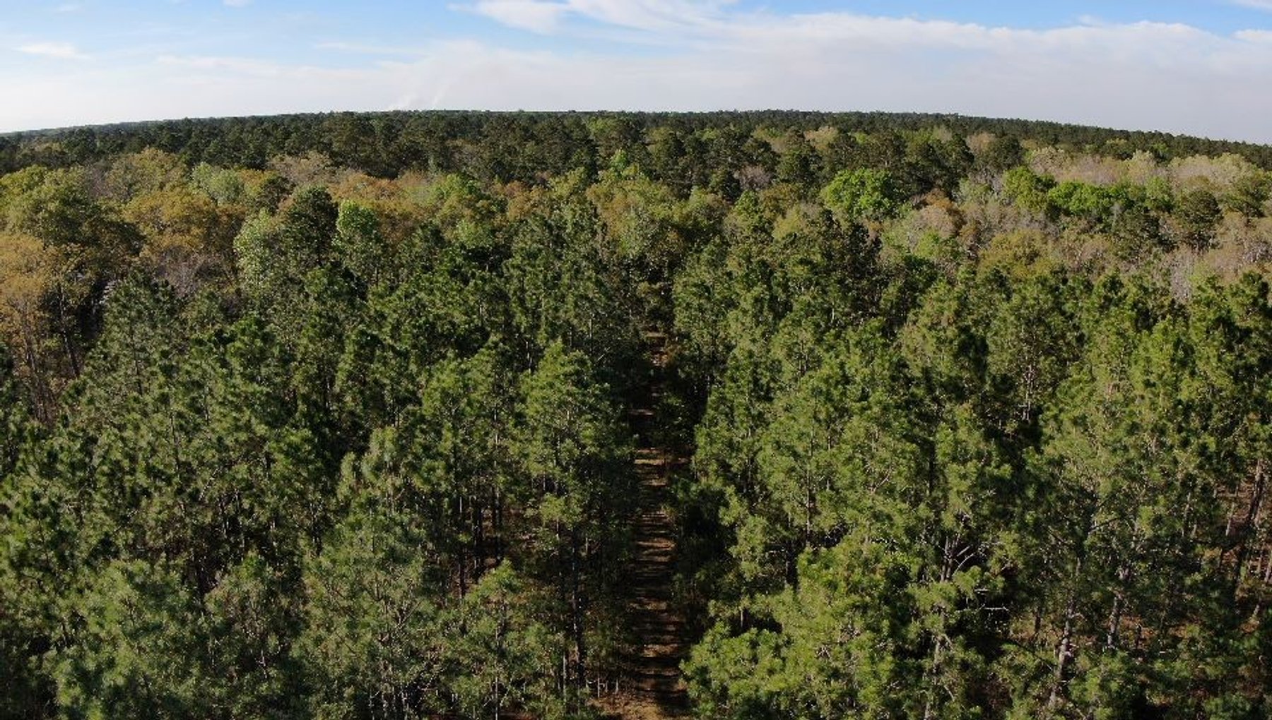 Image for 11.8 +/- Acres Covey Cove at Goose Hollow