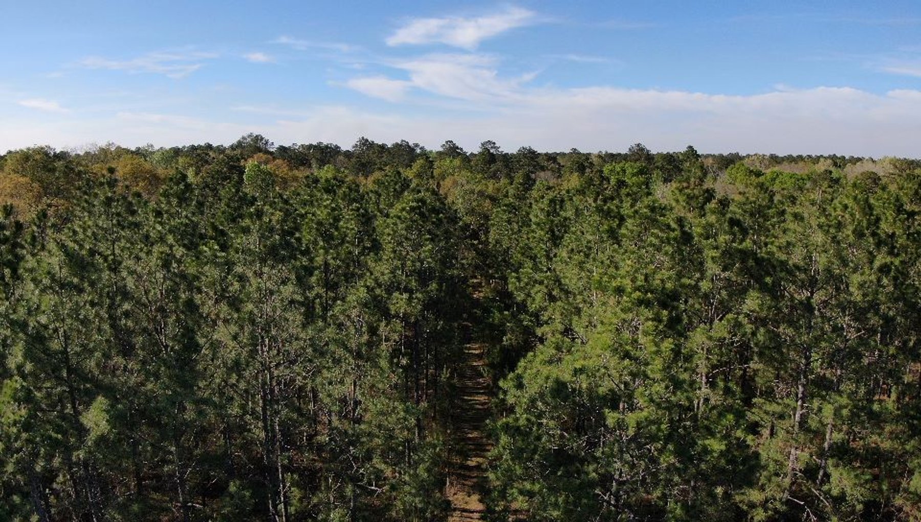 Image for 11.8 +/- Acres Covey Cove at Goose Hollow