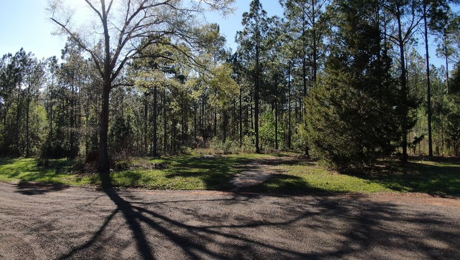 Image for 11.8 +/- Acres Covey Cove at Goose Hollow