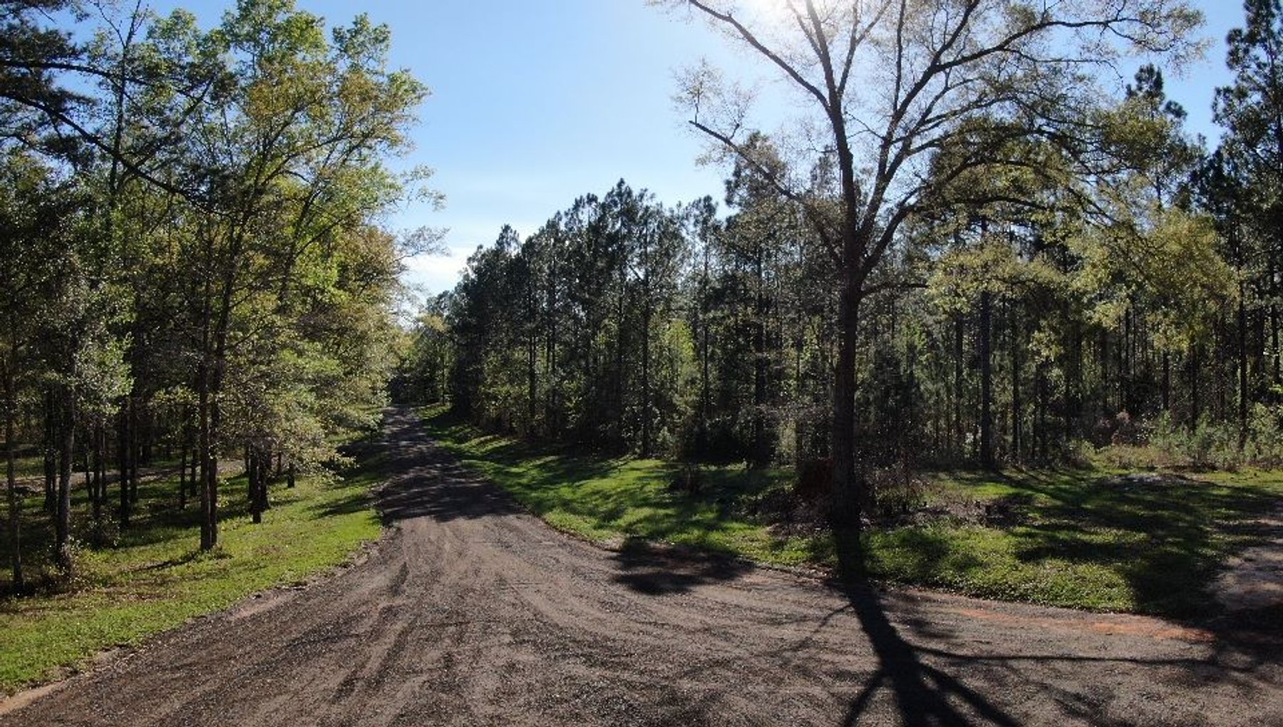 Image for 11.8 +/- Acres Covey Cove at Goose Hollow