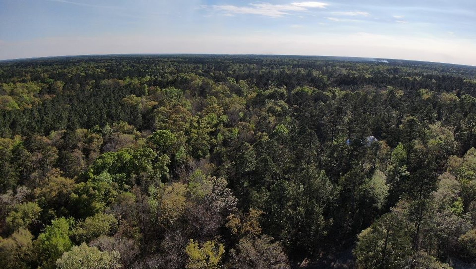 Image for 11.8 +/- Acres Covey Cove at Goose Hollow
