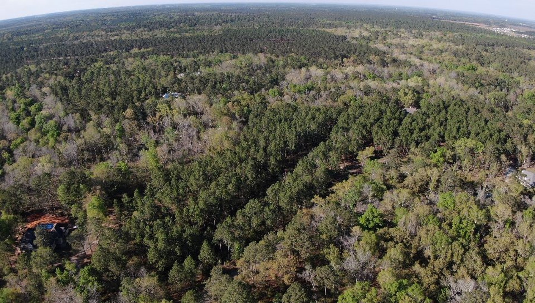 Image for 11.8 +/- Acres Covey Cove at Goose Hollow