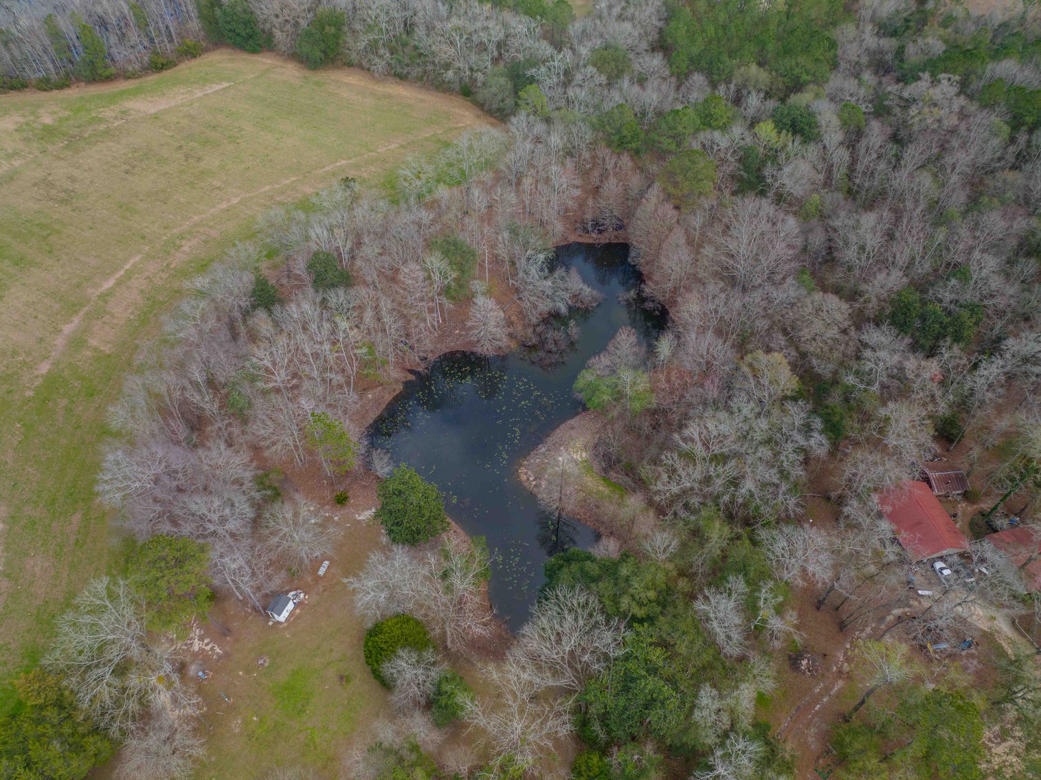 Image for Estate of Paul W. Barwick - 26+/- Acres, 3 Bedroom / 1 Bath Home, Pond and Pasture