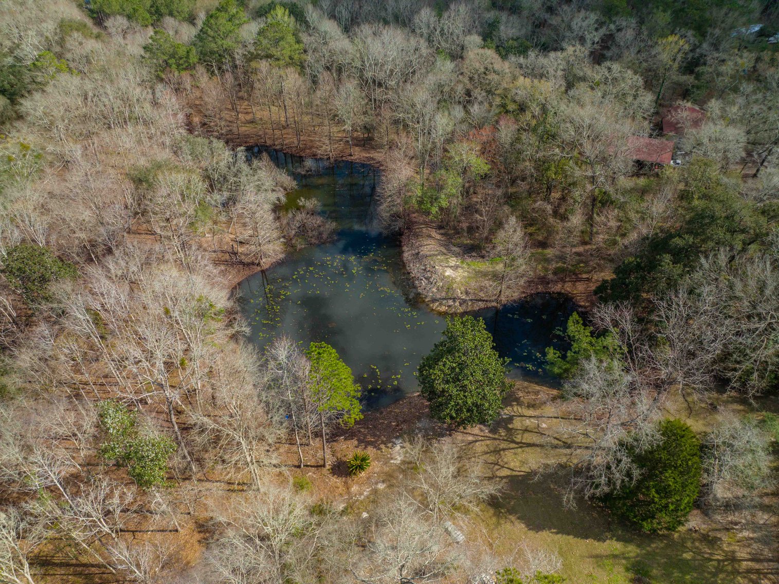 Image for Estate of Paul W. Barwick - 26+/- Acres, 3 Bedroom / 1 Bath Home, Pond and Pasture