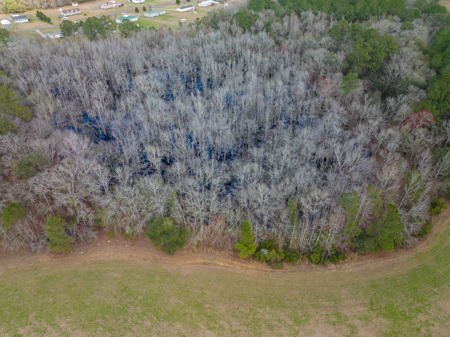 Image for Estate of Paul W. Barwick - 26+/- Acres, 3 Bedroom / 1 Bath Home, Pond and Pasture