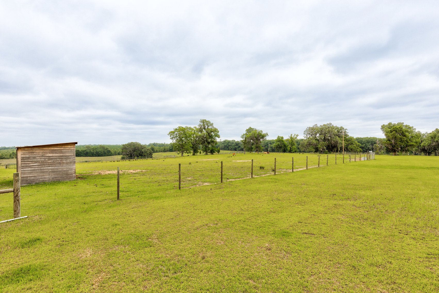Image for CM Farm & Cattle – 125+/- Acres Pristine Madison County Acreage w/ Beautiful Custom Home & Improvements