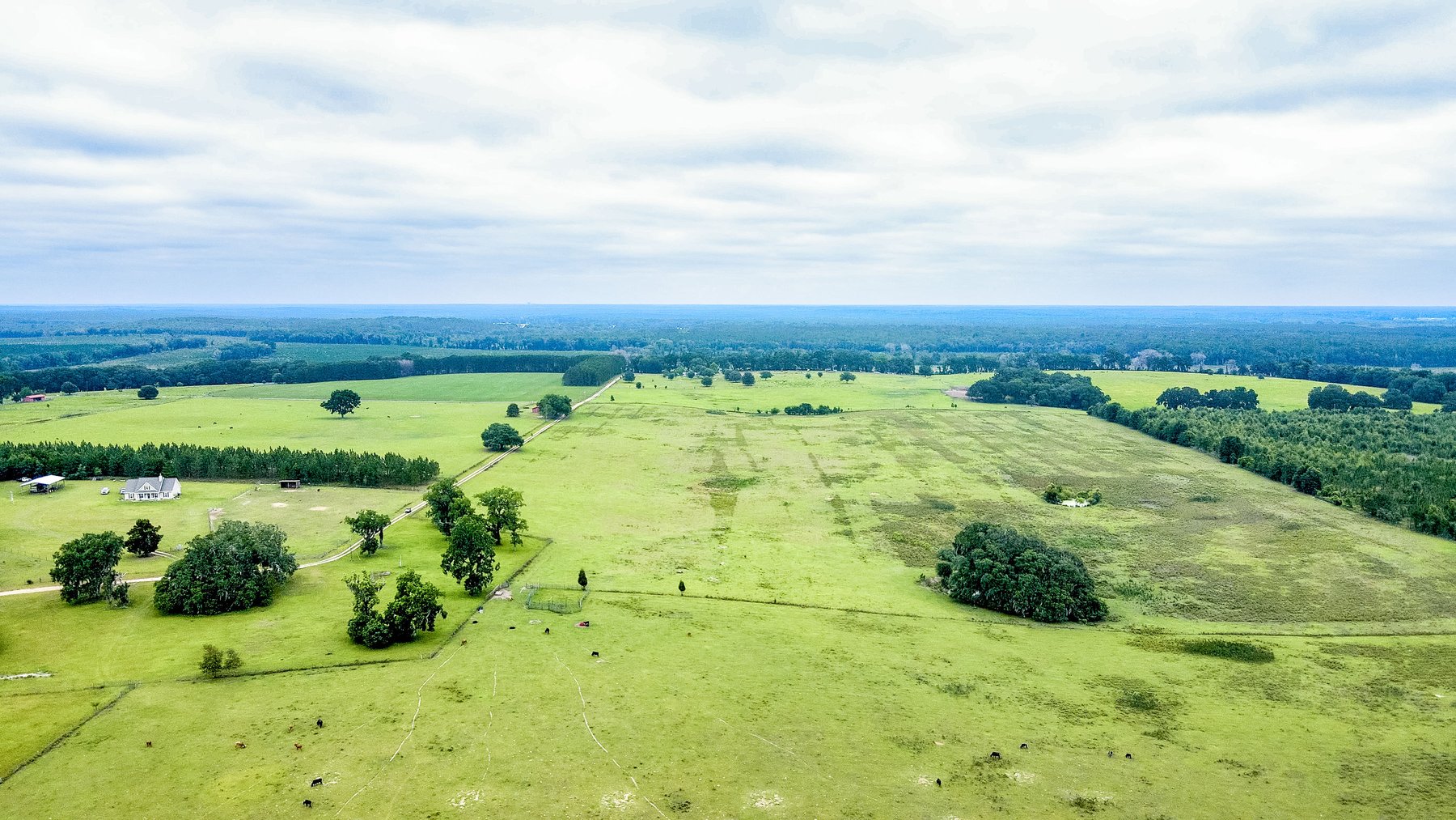 Image for CM Farm & Cattle – 125+/- Acres Pristine Madison County Acreage w/ Beautiful Custom Home & Improvements