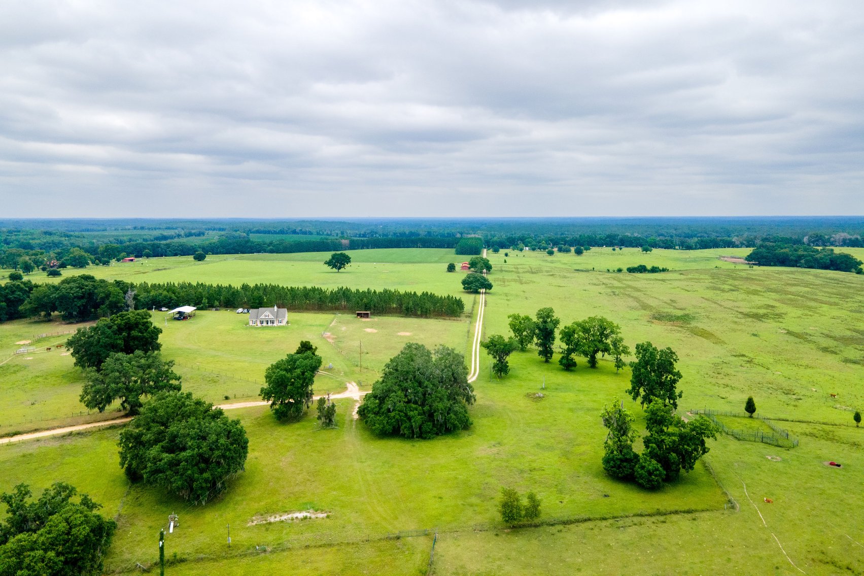 Image for CM Farm & Cattle – 125+/- Acres Pristine Madison County Acreage w/ Beautiful Custom Home & Improvements