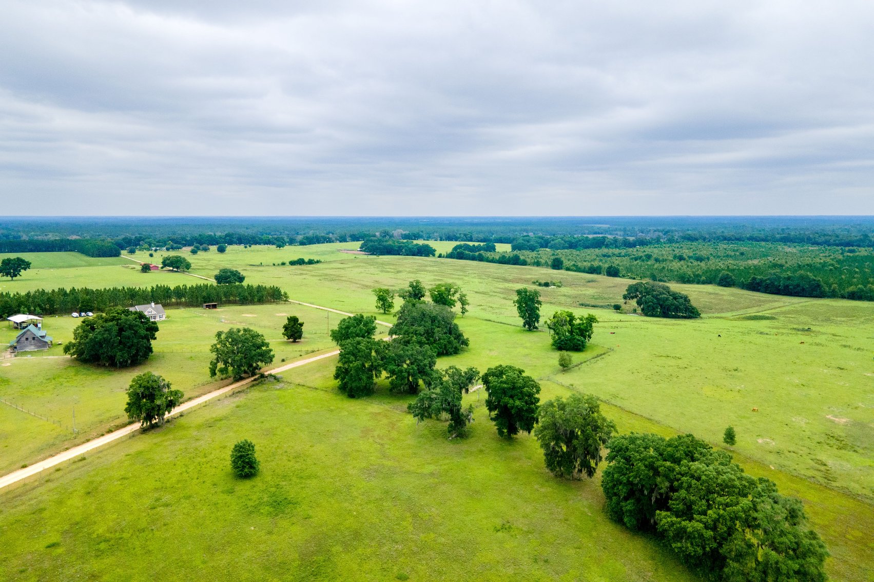 Image for CM Farm & Cattle – 125+/- Acres Pristine Madison County Acreage w/ Beautiful Custom Home & Improvements