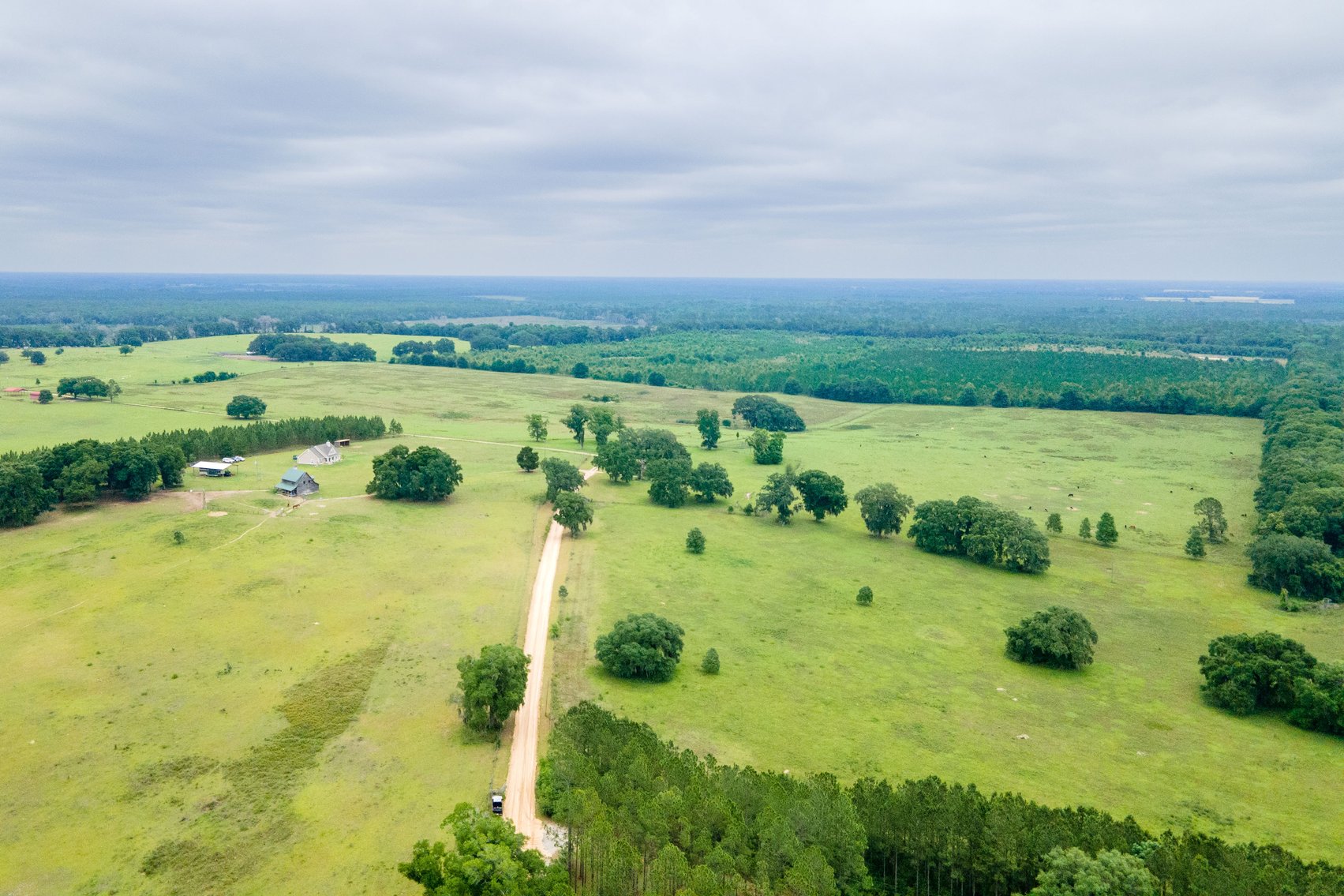 Image for CM Farm & Cattle – 125+/- Acres Pristine Madison County Acreage w/ Beautiful Custom Home & Improvements
