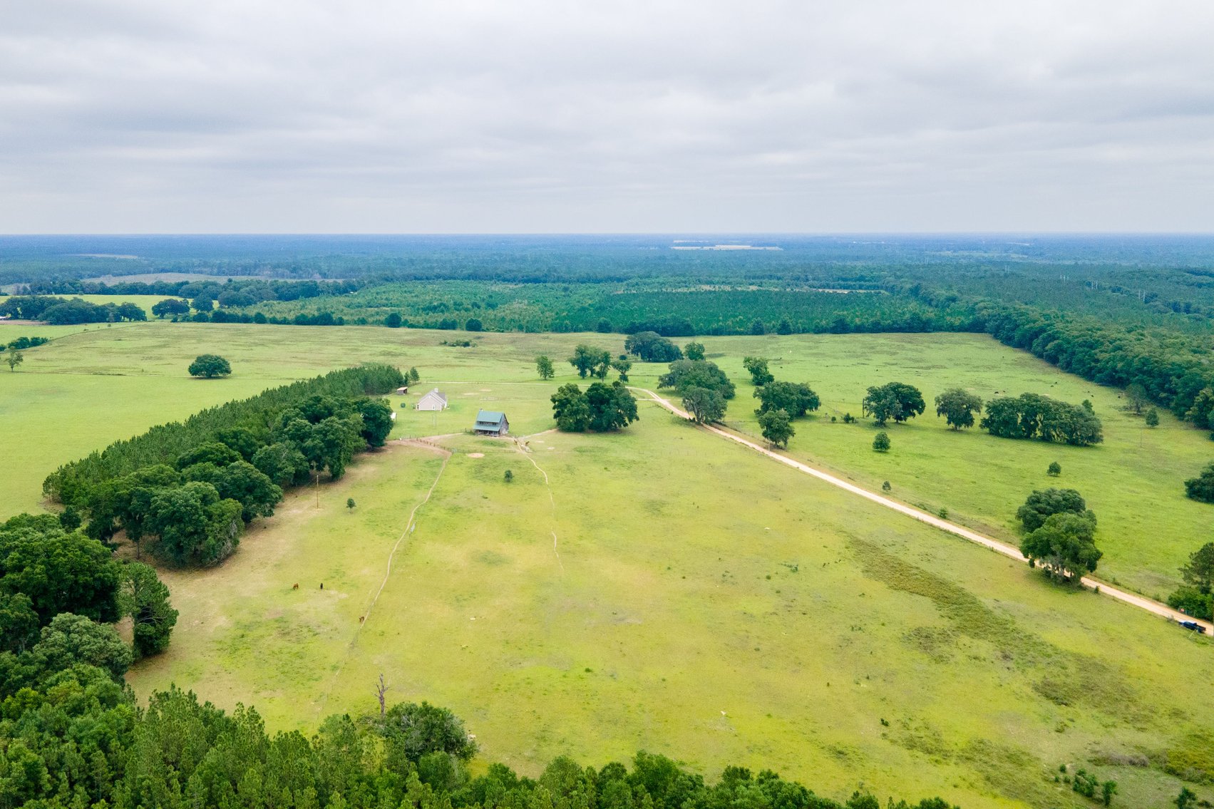 Image for CM Farm & Cattle – 125+/- Acres Pristine Madison County Acreage w/ Beautiful Custom Home & Improvements