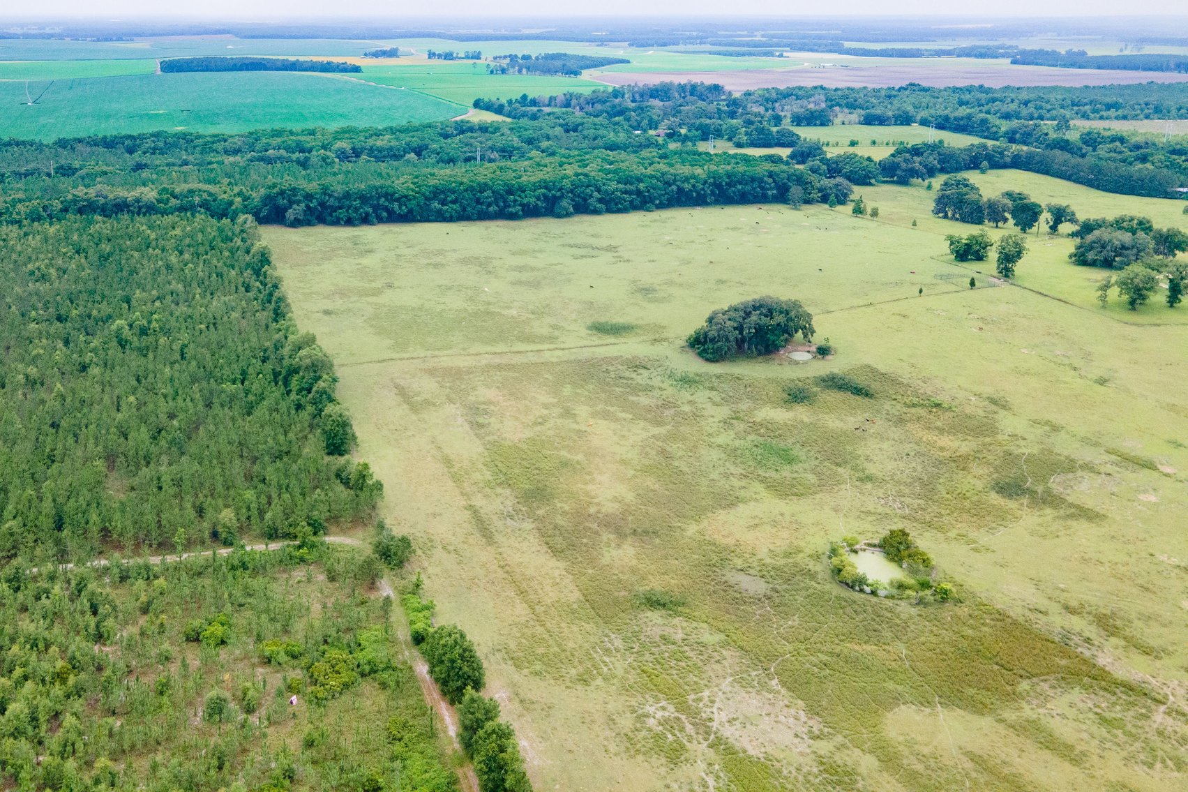 Image for CM Farm & Cattle – 125+/- Acres Pristine Madison County Acreage w/ Beautiful Custom Home & Improvements
