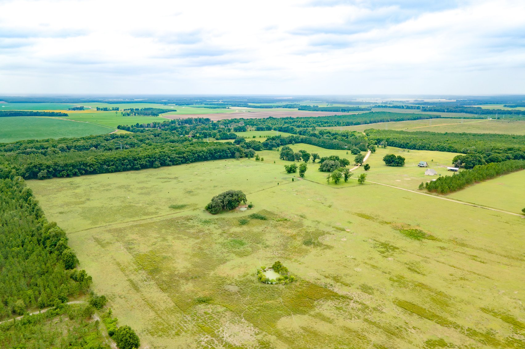 Image for CM Farm & Cattle – 125+/- Acres Pristine Madison County Acreage w/ Beautiful Custom Home & Improvements