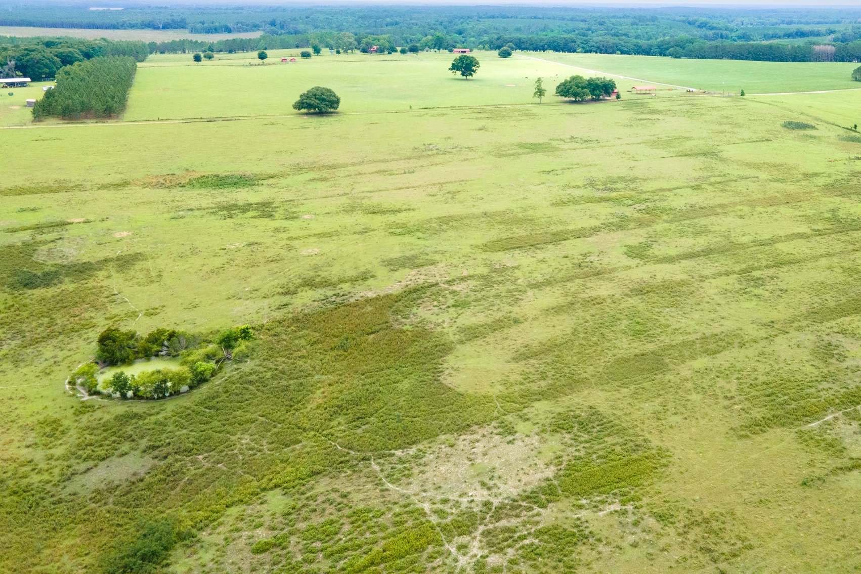 Image for CM Farm & Cattle – 125+/- Acres Pristine Madison County Acreage w/ Beautiful Custom Home & Improvements