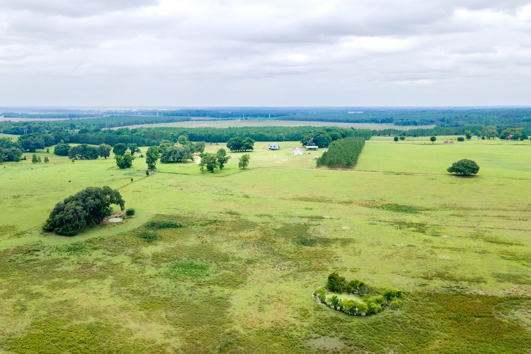 Image for CM Farm & Cattle – 125+/- Acres Pristine Madison County Acreage w/ Beautiful Custom Home & Improvements