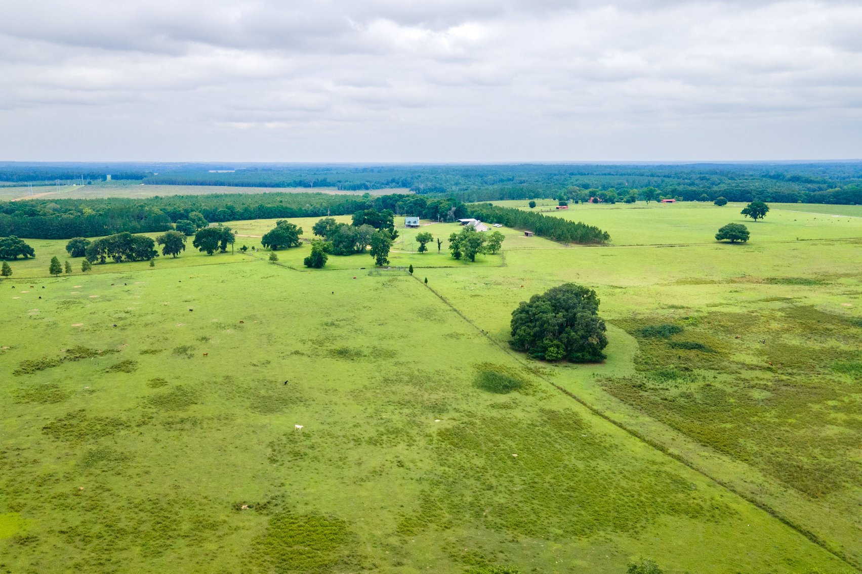 Image for CM Farm & Cattle – 125+/- Acres Pristine Madison County Acreage w/ Beautiful Custom Home & Improvements