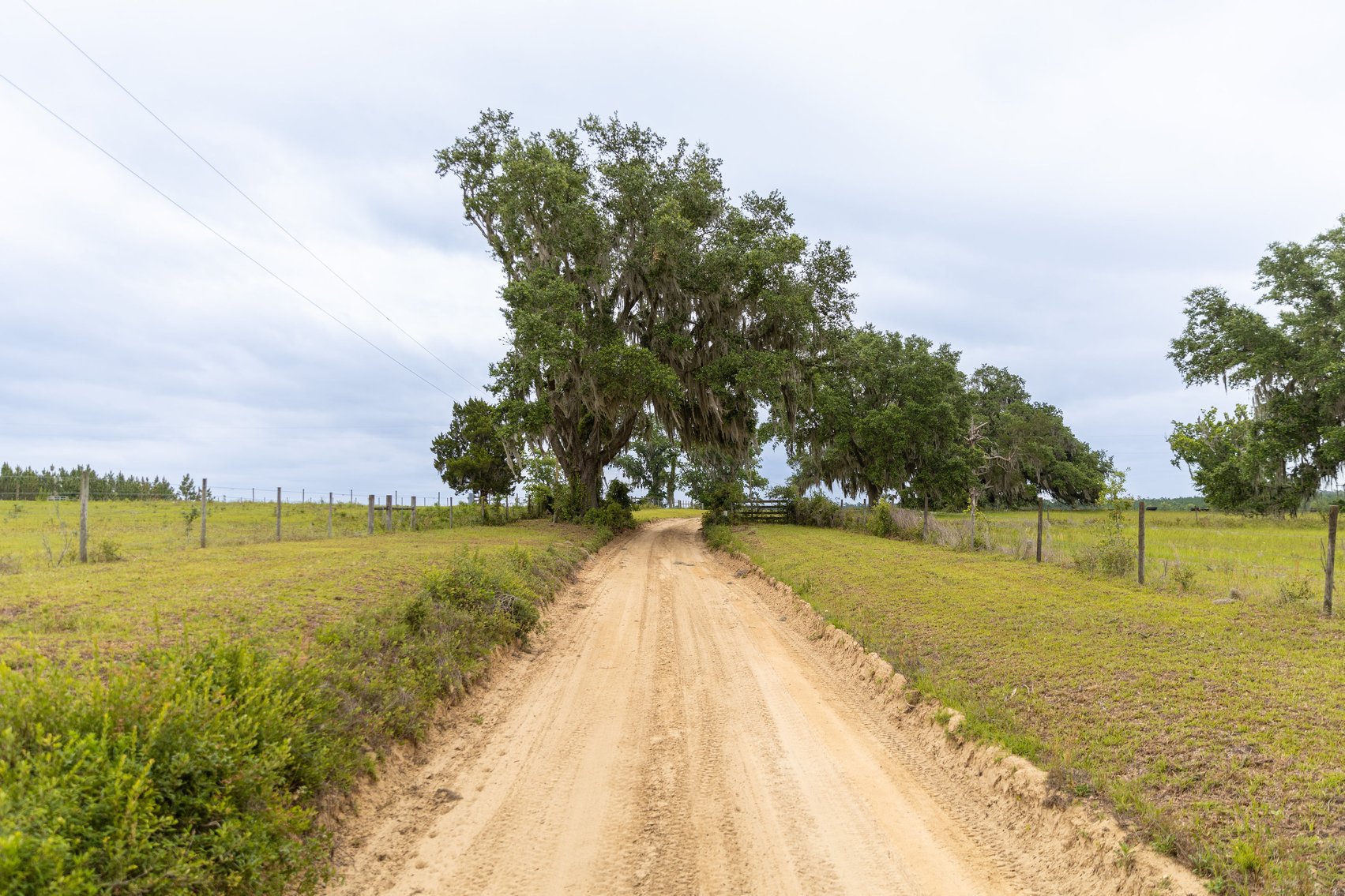 Image for CM Farm & Cattle – 125+/- Acres Pristine Madison County Acreage w/ Beautiful Custom Home & Improvements