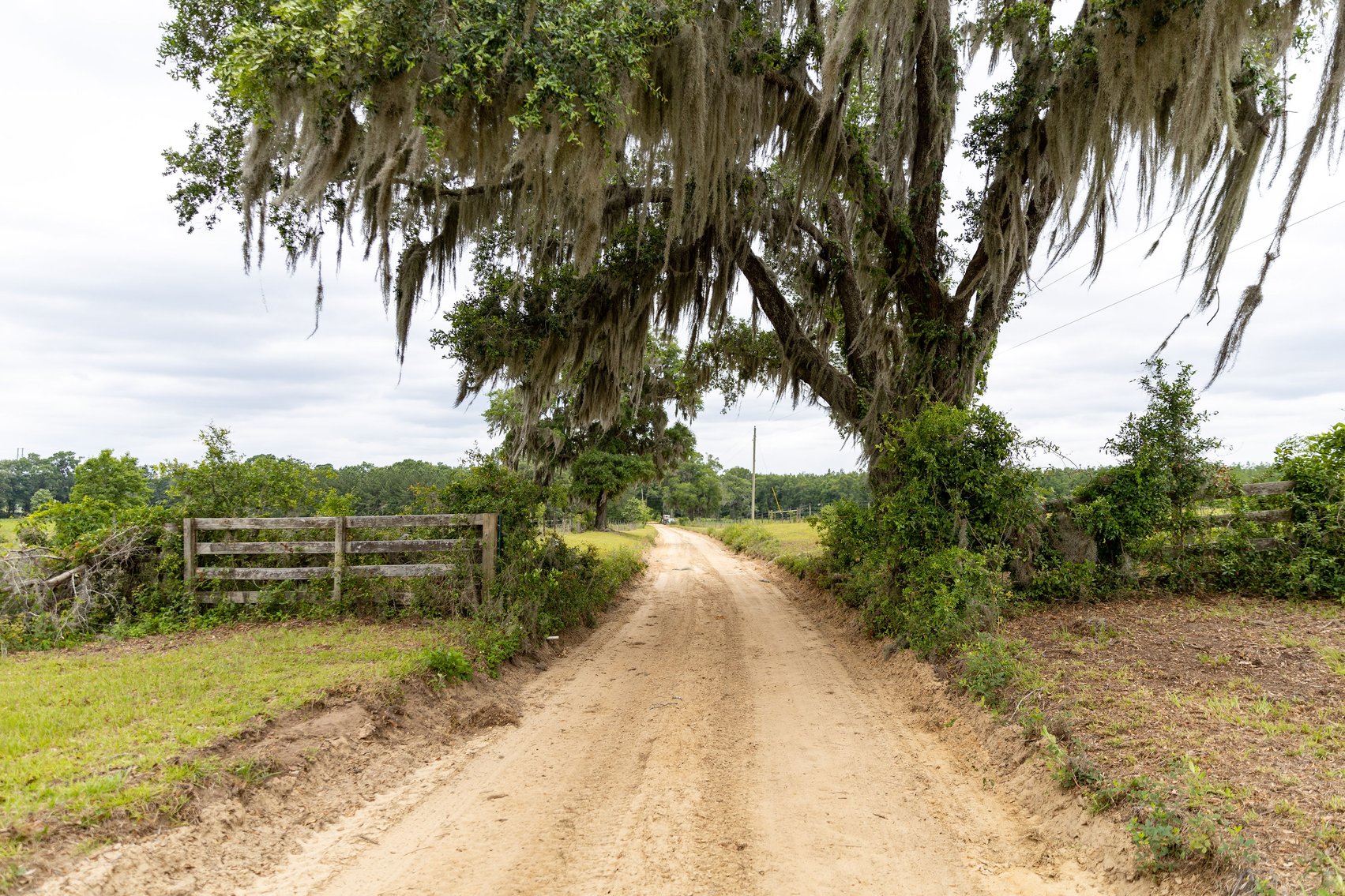 Image for CM Farm & Cattle – 125+/- Acres Pristine Madison County Acreage w/ Beautiful Custom Home & Improvements