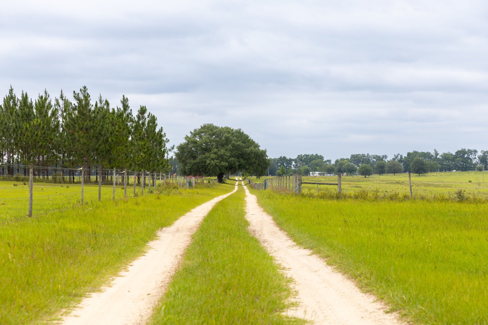 Image for CM Farm & Cattle – 125+/- Acres Pristine Madison County Acreage w/ Beautiful Custom Home & Improvements
