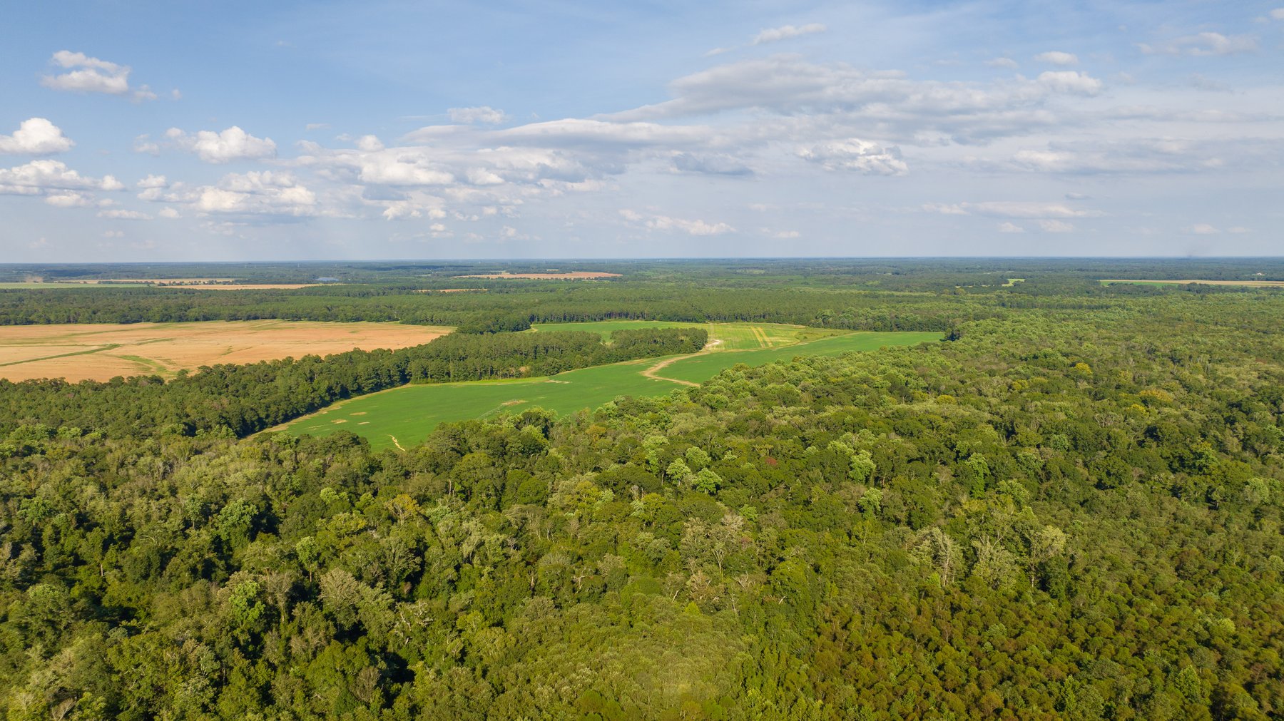 Image for 600+/- Acres - Bedenbaugh Place - Sumter County, GA