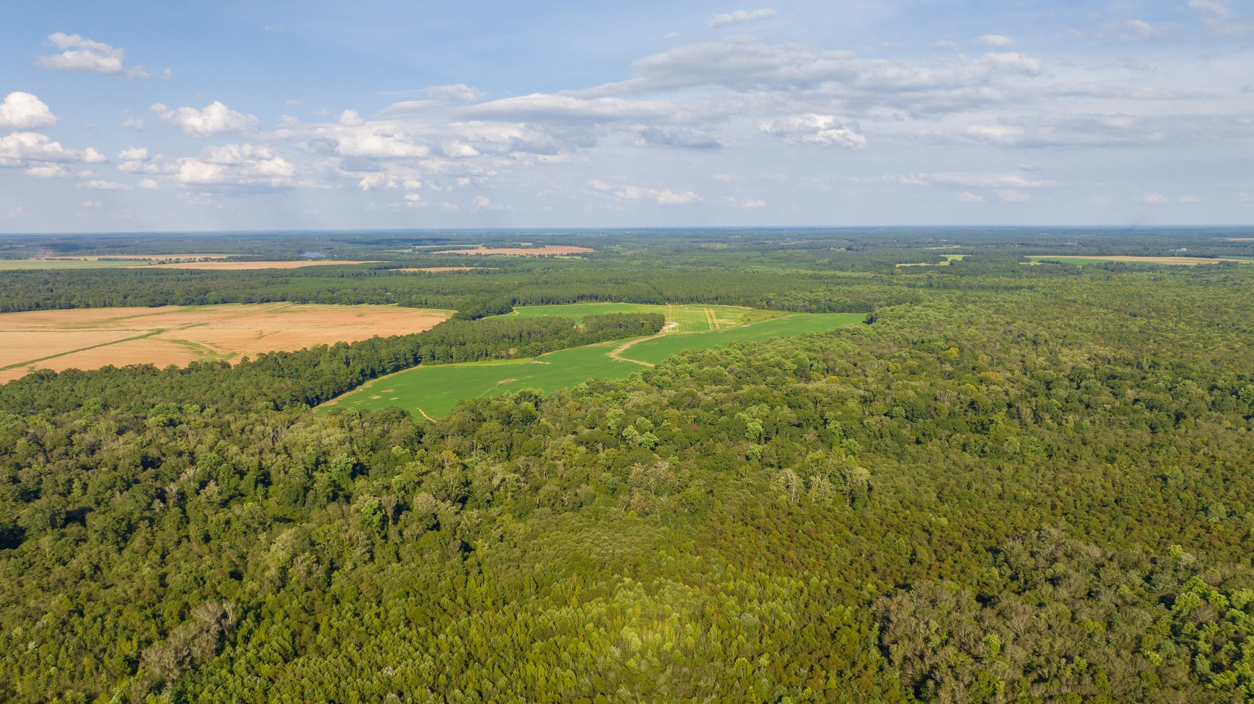 Image for 600+/- Acres - Bedenbaugh Place - Sumter County, GA