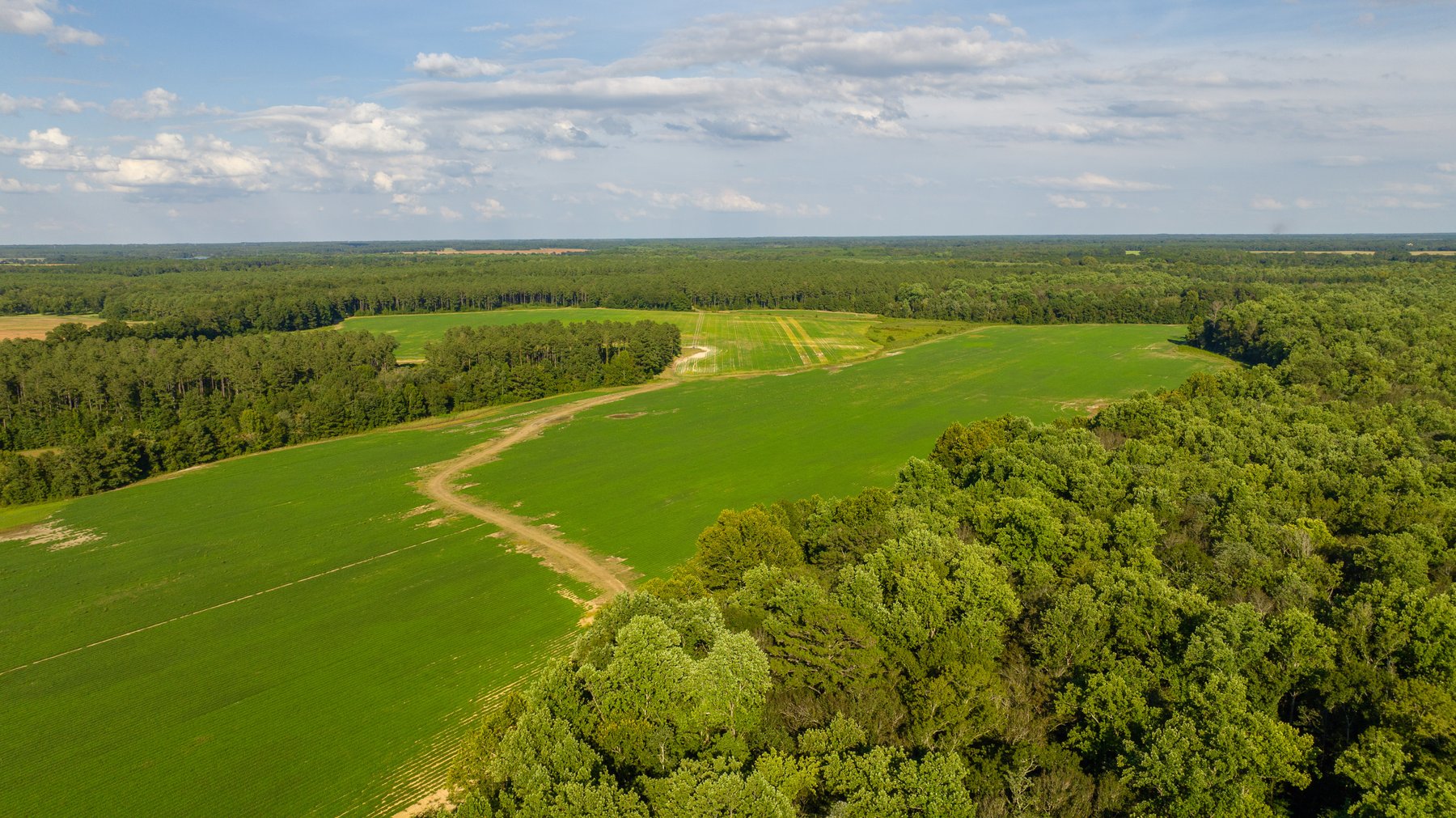 Image for 600+/- Acres - Bedenbaugh Place - Sumter County, GA