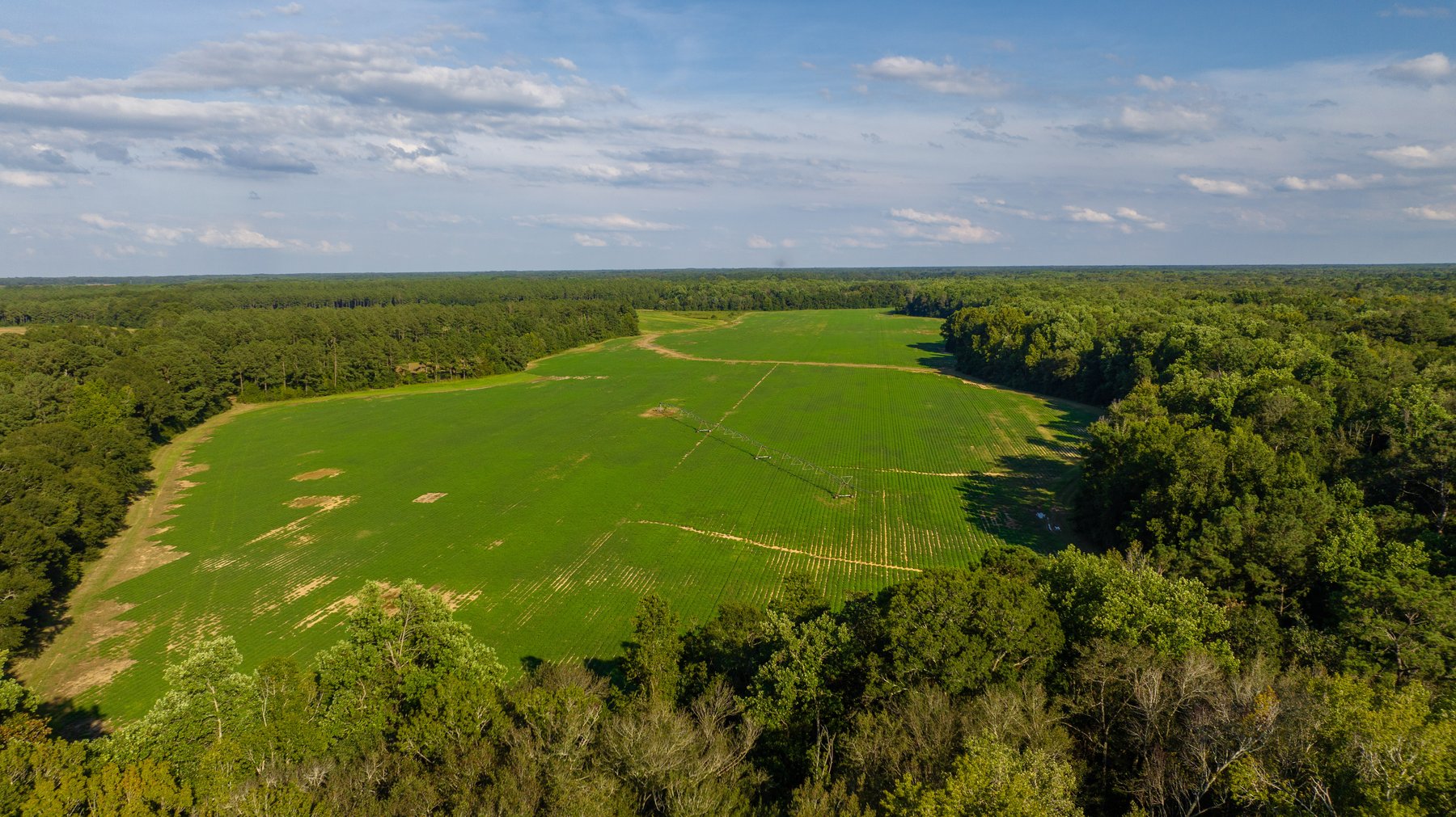 Image for 600+/- Acres - Bedenbaugh Place - Sumter County, GA