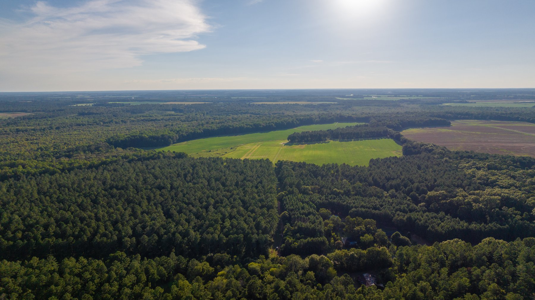 Image for 600+/- Acres - Bedenbaugh Place - Sumter County, GA