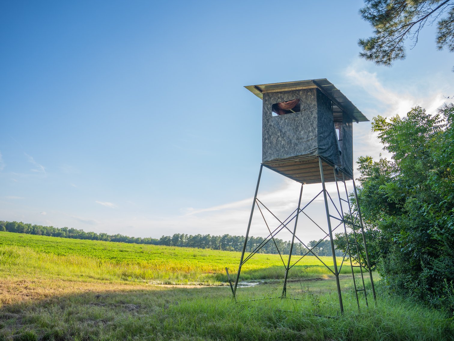 Image for 600+/- Acres - Bedenbaugh Place - Sumter County, GA