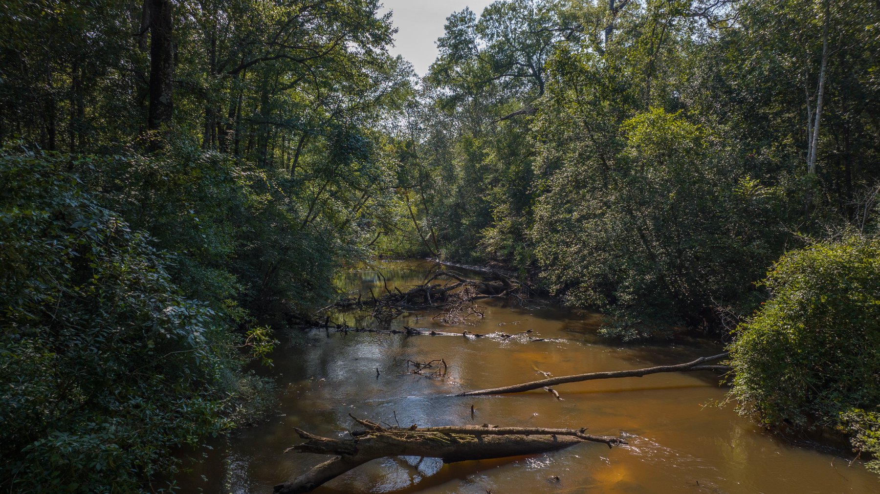 Image for 276+/- Acres - Buck Creek Place - Macon County, GA