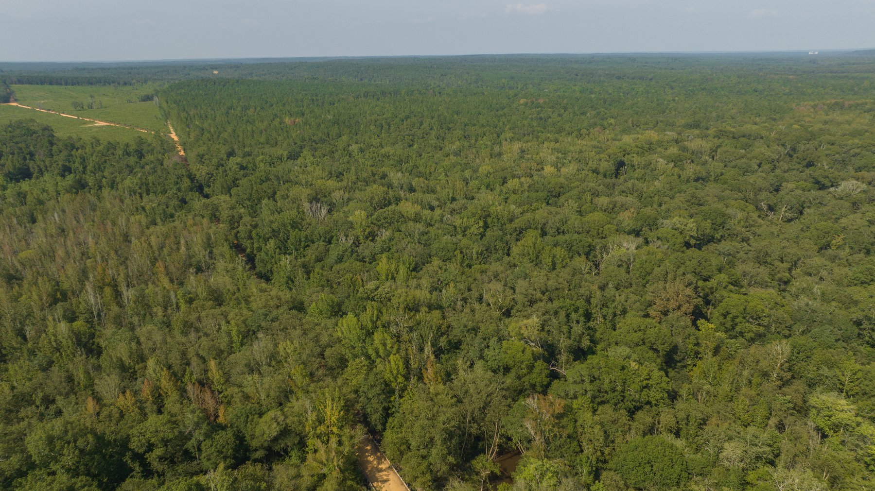 Image for 276+/- Acres - Buck Creek Place - Macon County, GA
