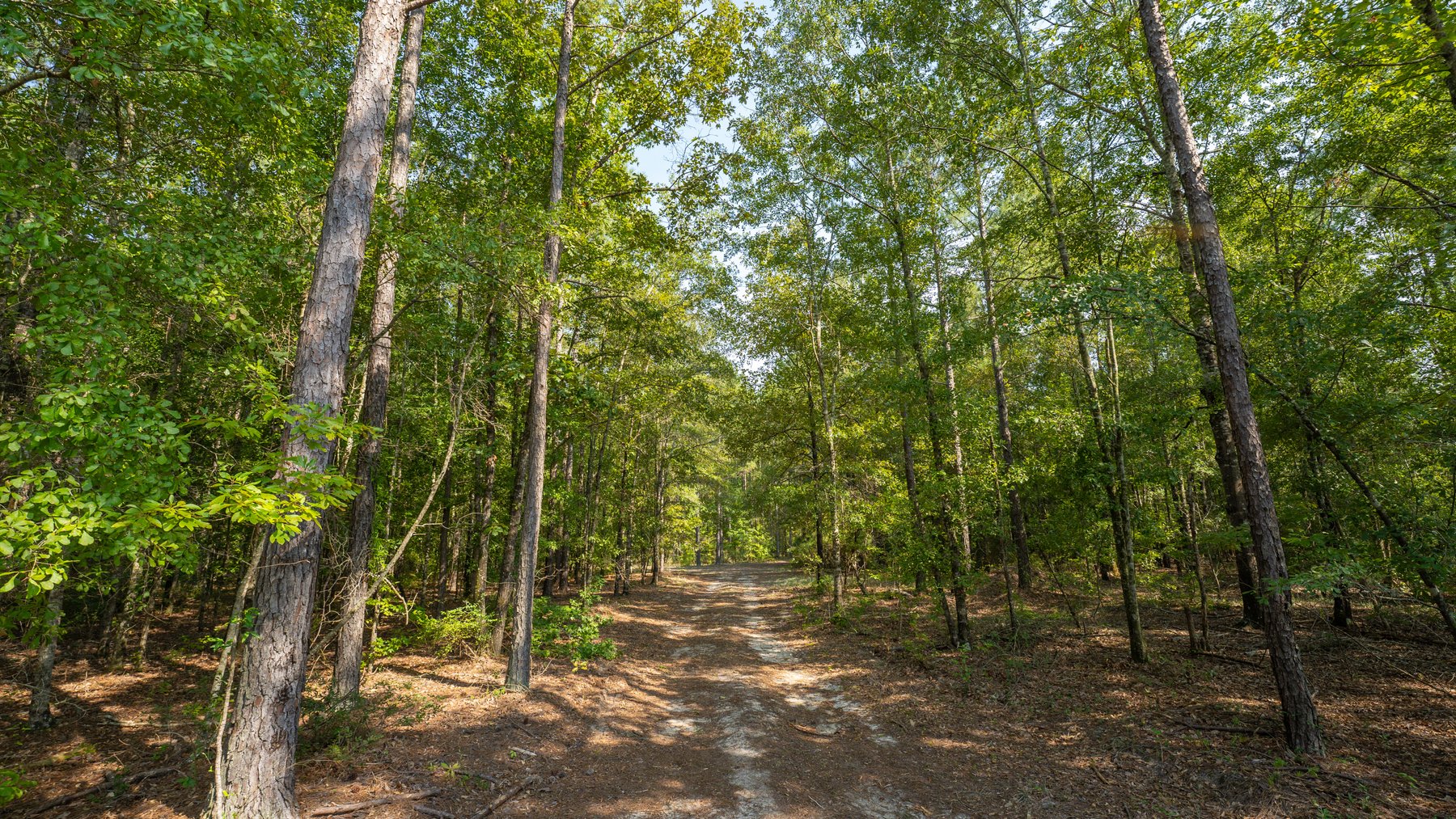 Image for 276+/- Acres - Buck Creek Place - Macon County, GA