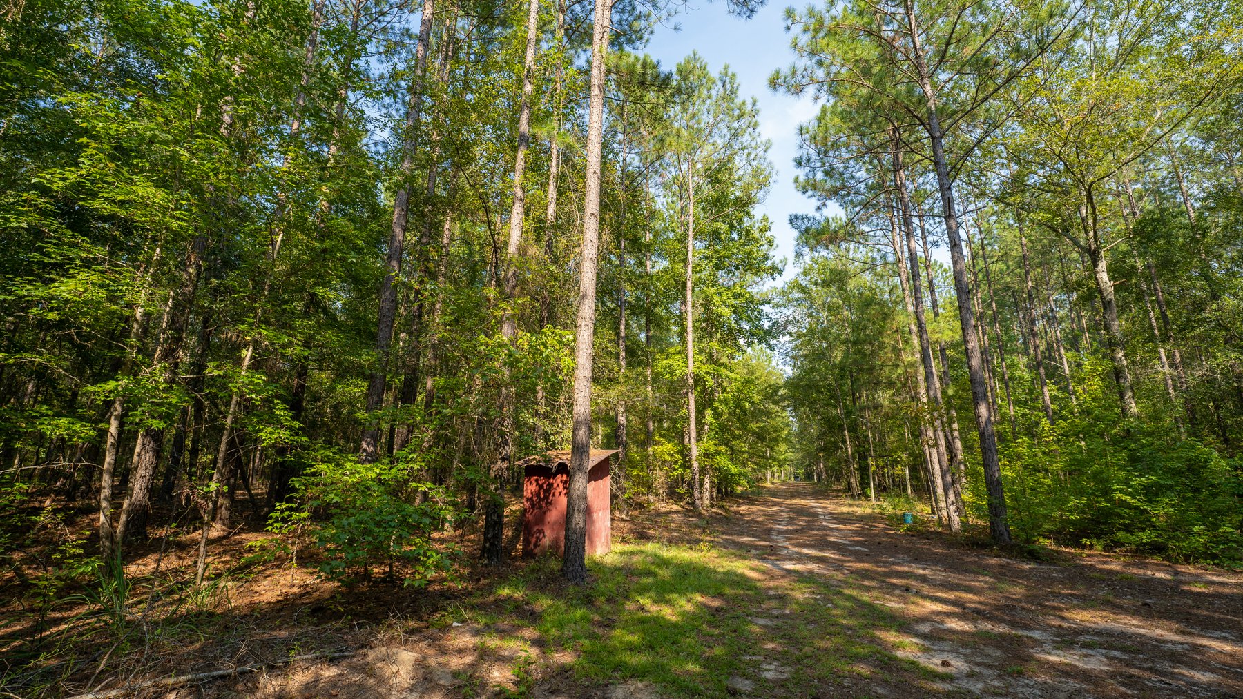 Image for 276+/- Acres - Buck Creek Place - Macon County, GA