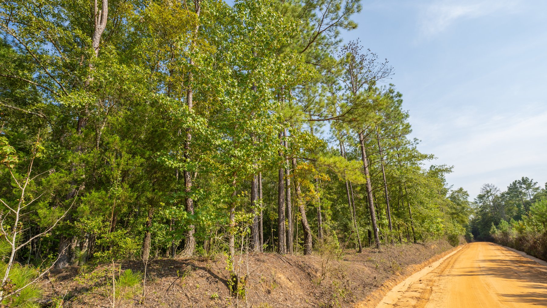 Image for 276+/- Acres - Buck Creek Place - Macon County, GA