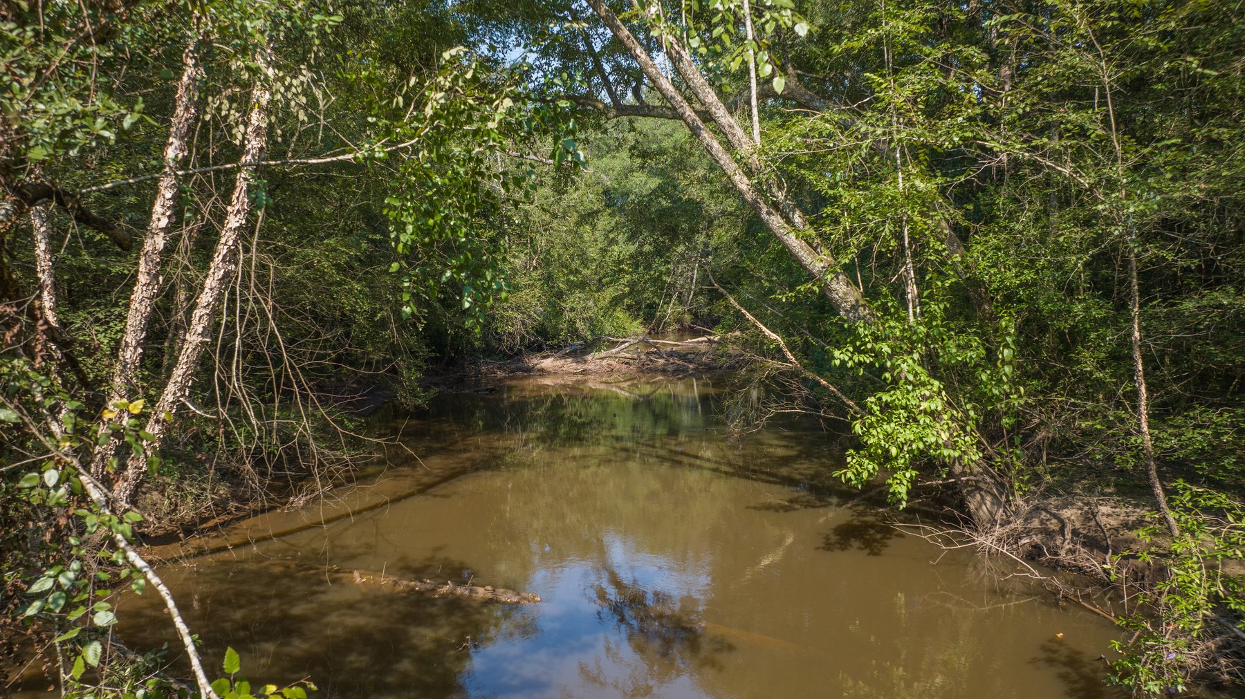 Image for 276+/- Acres - Buck Creek Place - Macon County, GA