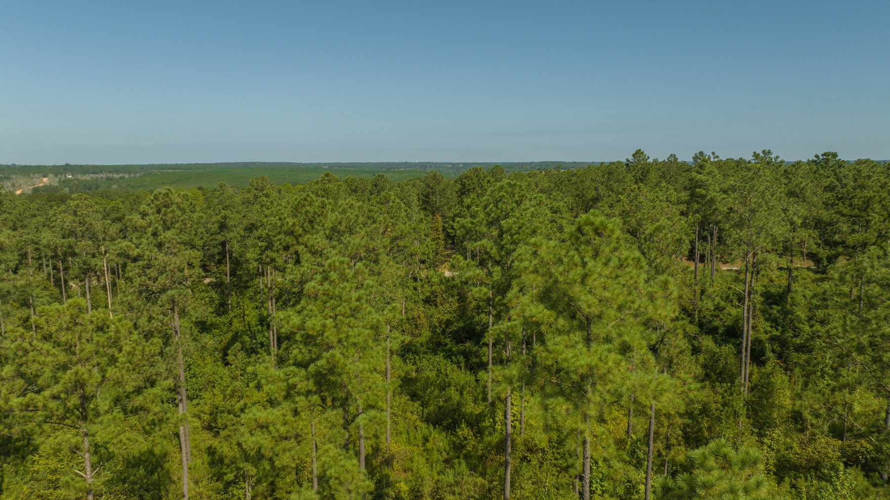 Image for 602+/- Acres - Hardwick Place - Henry County, AL