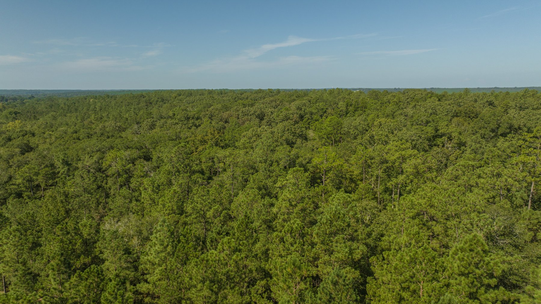 Image for 602+/- Acres - Hardwick Place - Henry County, AL