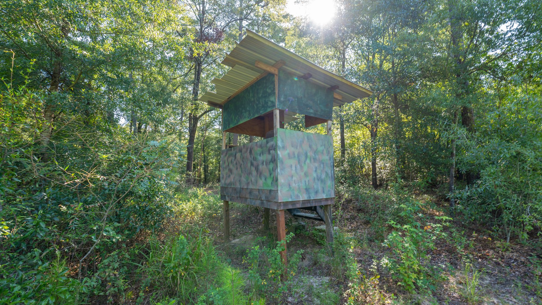 Image for 602+/- Acres - Hardwick Place - Henry County, AL