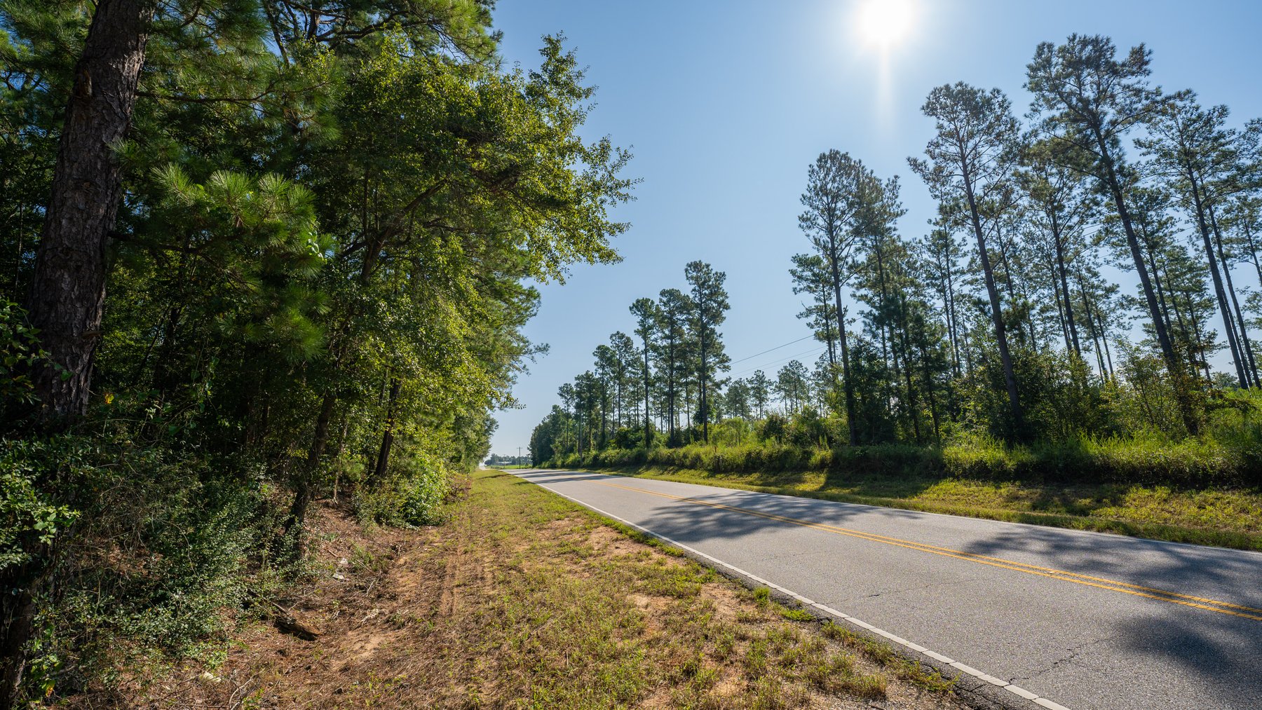 Image for 602+/- Acres - Hardwick Place - Henry County, AL