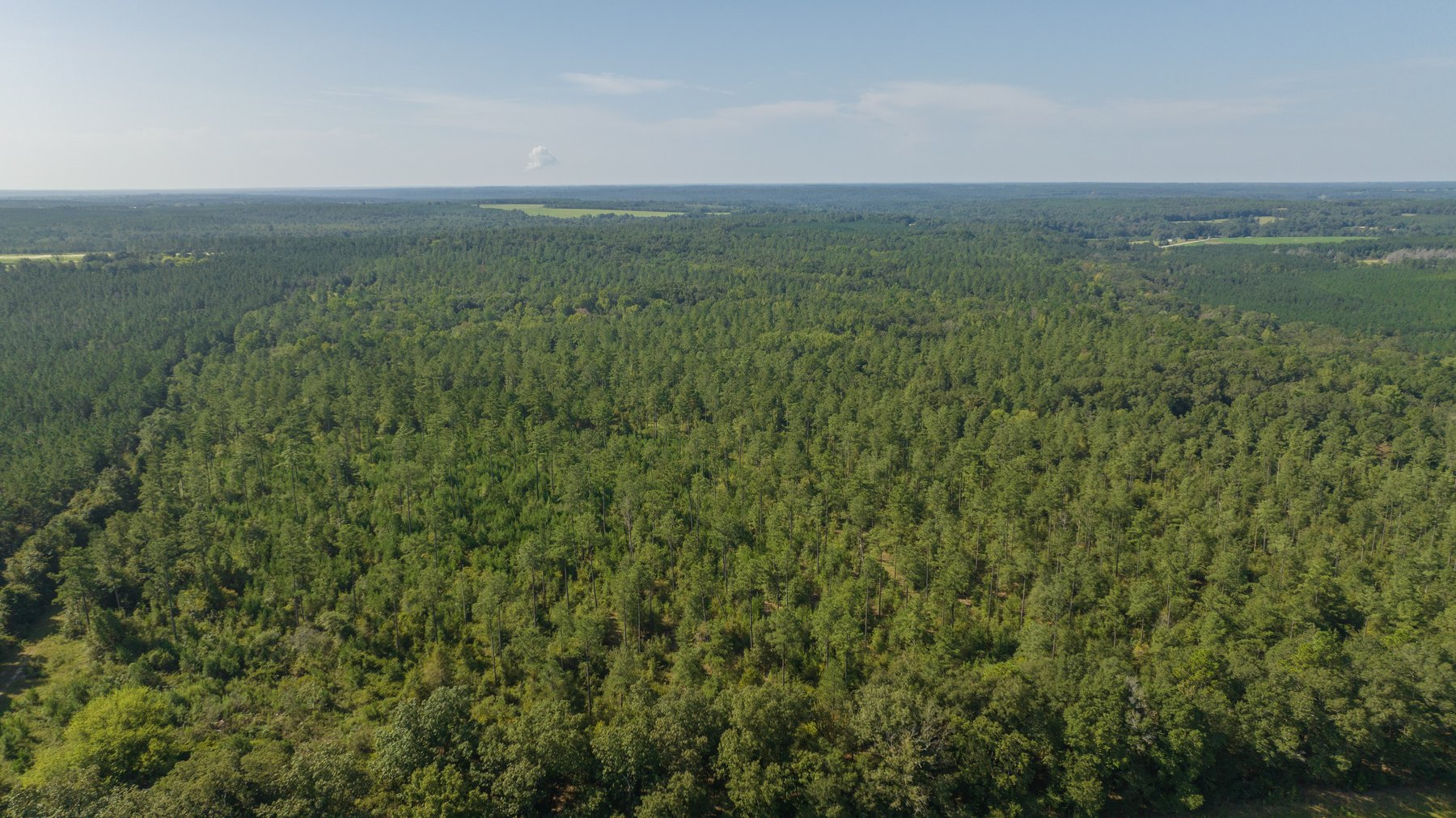 Image for 602+/- Acres - Hardwick Place - Henry County, AL