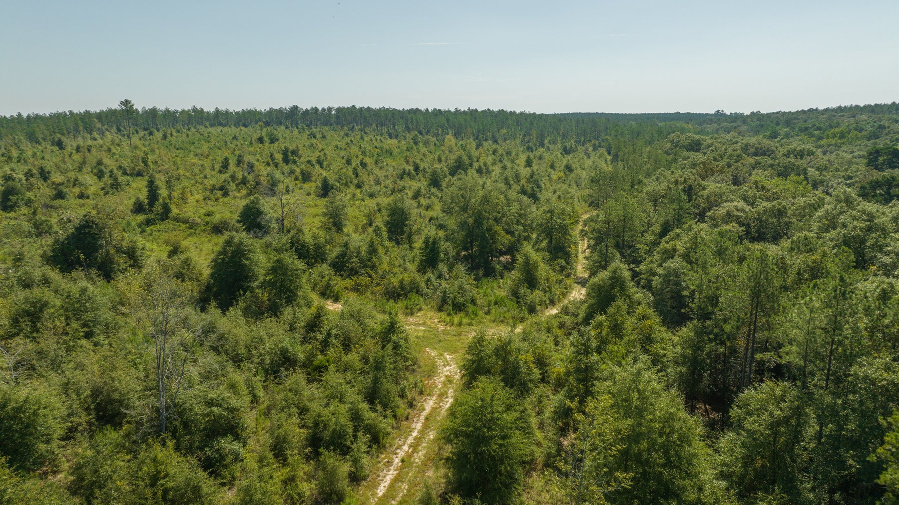 Image for 602+/- Acres - Hardwick Place - Henry County, AL