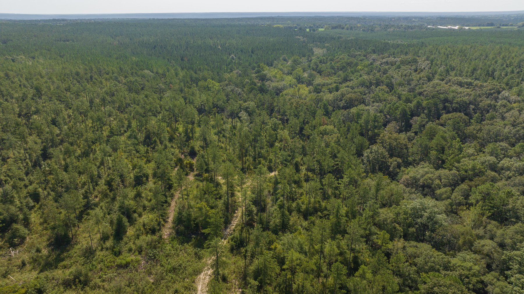 Image for 602+/- Acres - Hardwick Place - Henry County, AL
