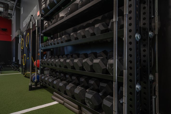 Image for D1 Training Tallahassee – Turn-Key Personal Fitness Franchise