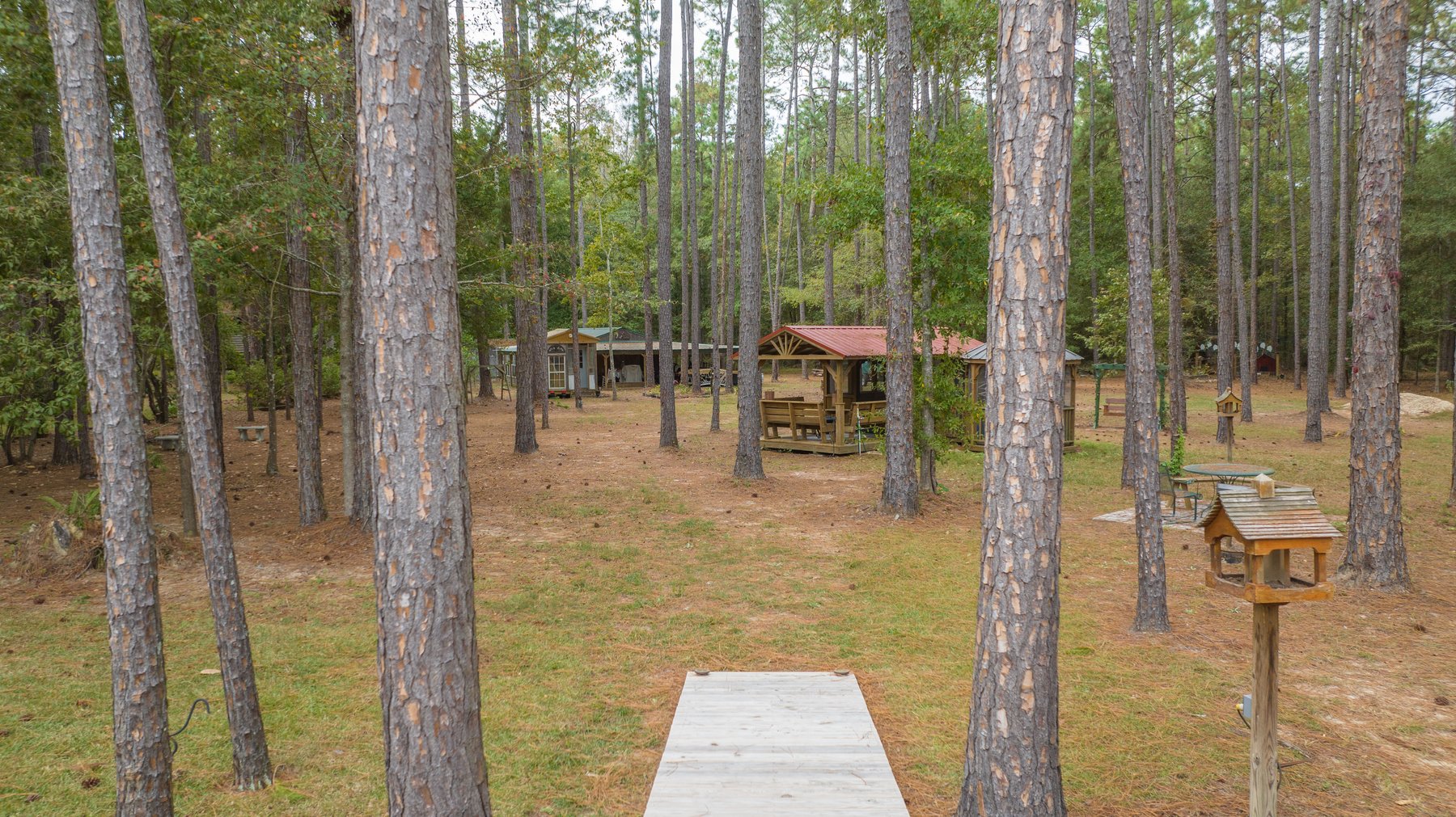 Image for Elegant “Southern Living” Home in Moultrie, Georgia