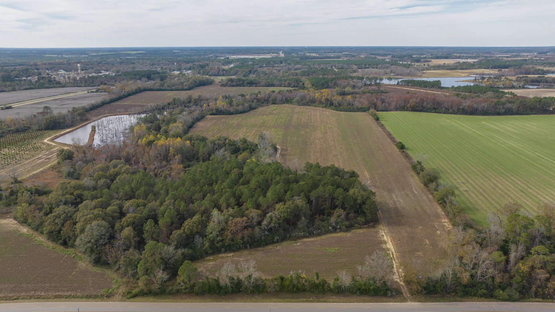 Image for RESERVE MET! 65+/- Acres - Row Crop Farmland Opportunity - Berrien County, Georgia