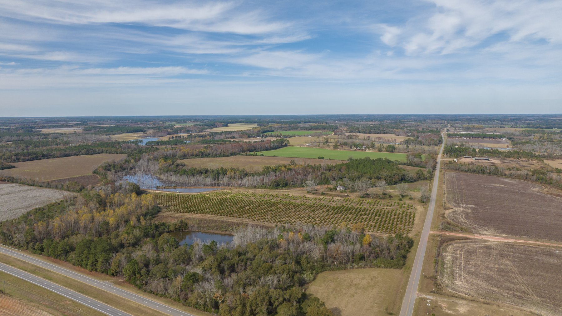 Image for RESERVE MET! 65+/- Acres - Row Crop Farmland Opportunity - Berrien County, Georgia