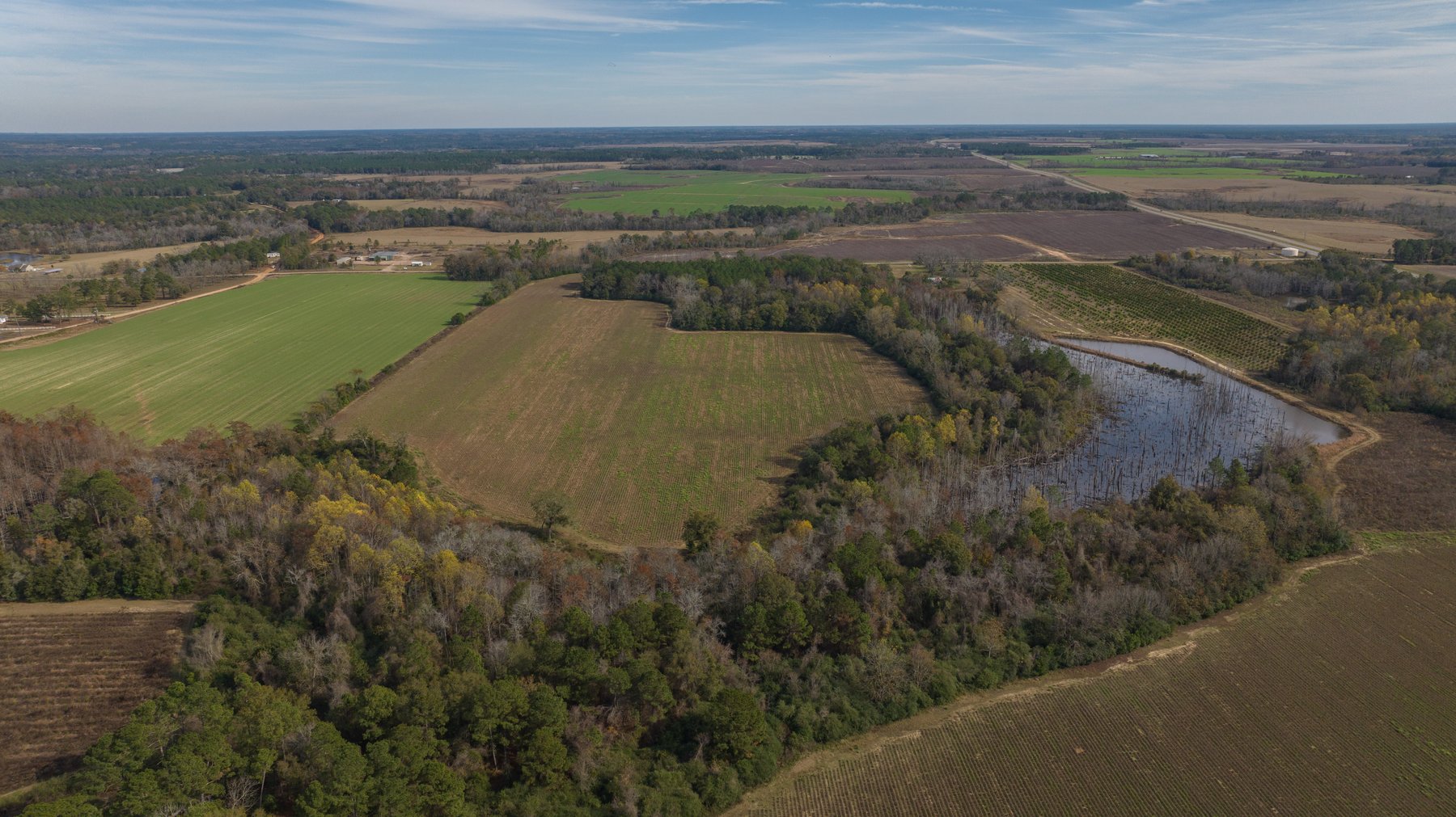 Image for RESERVE MET! 65+/- Acres - Row Crop Farmland Opportunity - Berrien County, Georgia